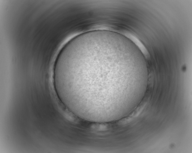 X0000102391051200808151916