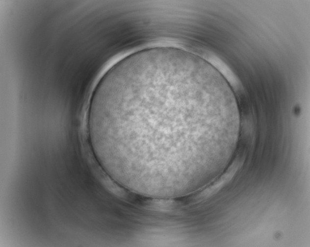 X0000102391052200808151916