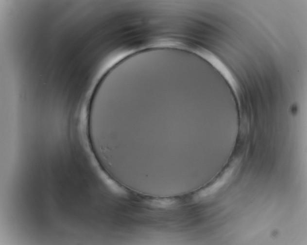 X0000102391053200808151916