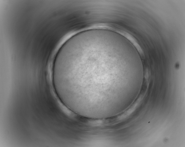 X0000102391054200808151916