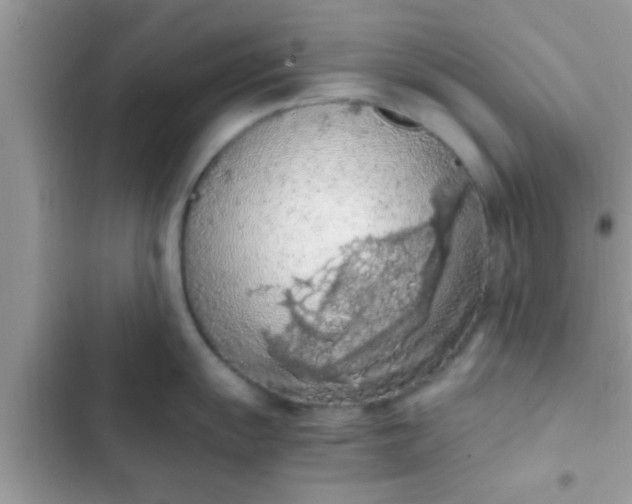 X0000102391055200808151916