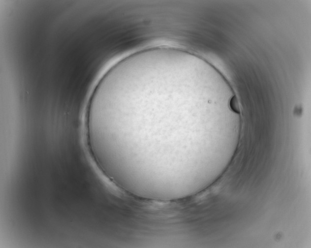 X0000102391056200808151916