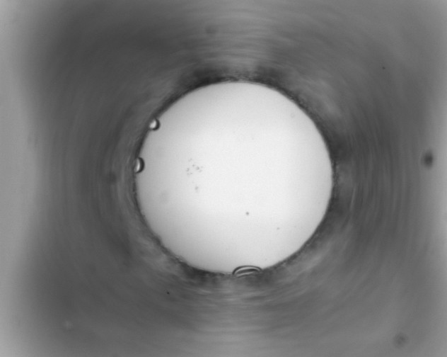 X0000102391057200808151916