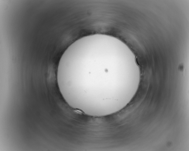 X0000102391058200808151916