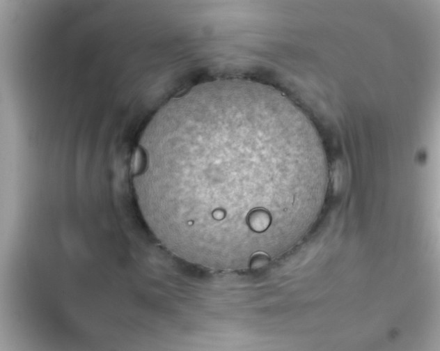 X0000102391059200808151915