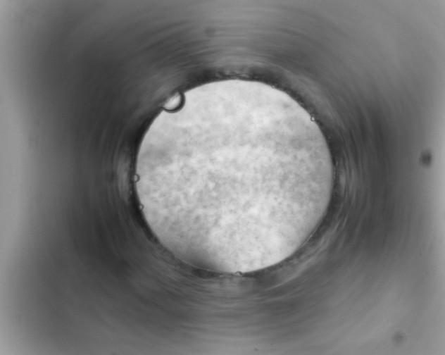 X0000102391060200808151915