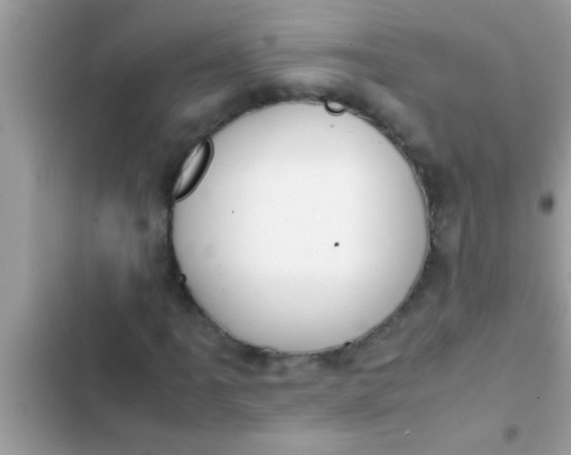 X0000102391061200808151915