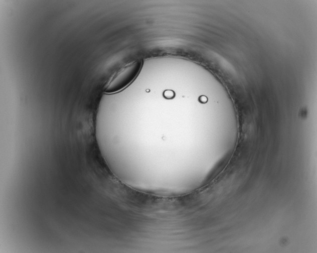 X0000102391062200808151915