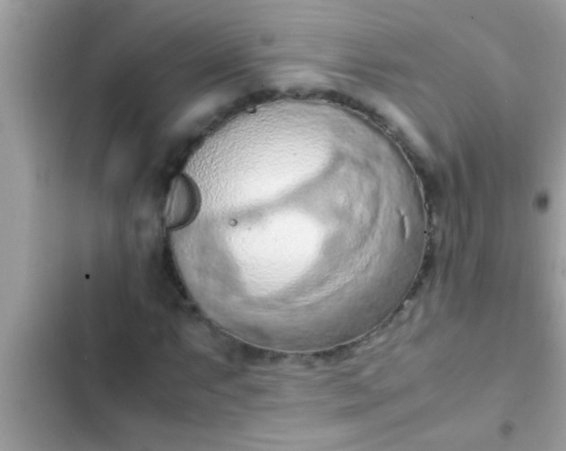 X0000102391063200808151915