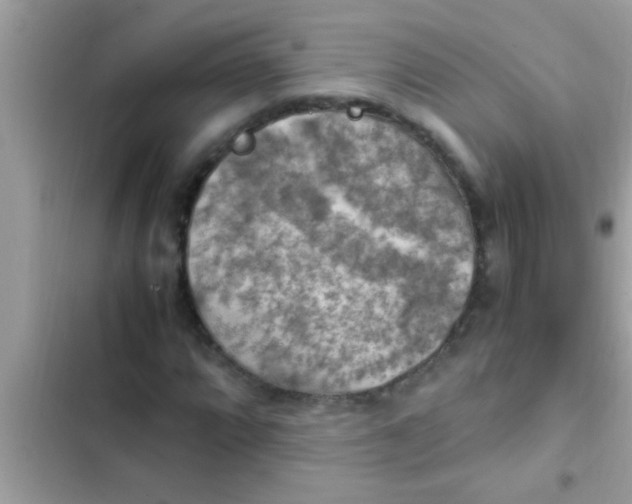 X0000102391064200808151915