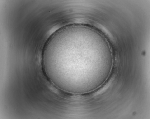 X0000102391065200808151915