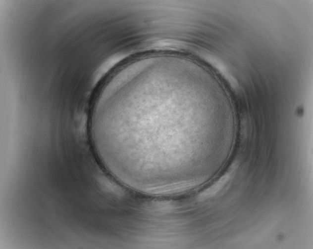 X0000102391066200808151915