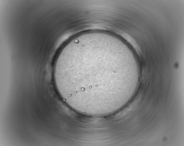 X0000102391067200808151915