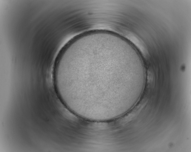 X0000102391068200808151915