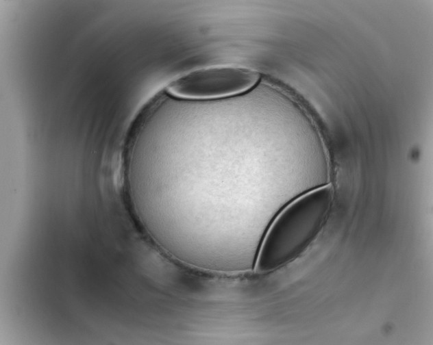 X0000102391069200808151915