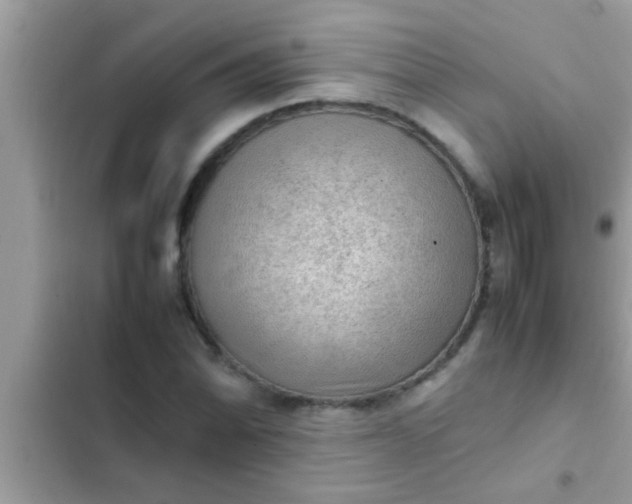 X0000102391070200808151915