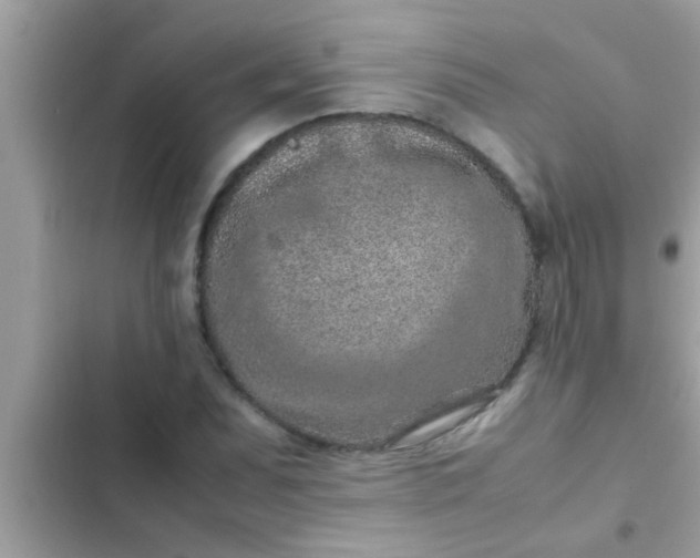 X0000102391071200808151915