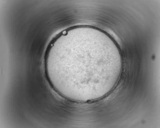 X0000102391072200808151915