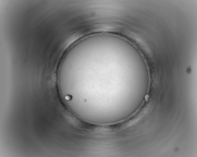 X0000102391073200808151915