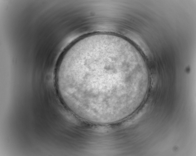 X0000102391074200808151915