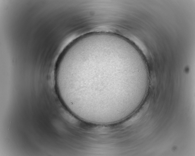 X0000102391075200808151915