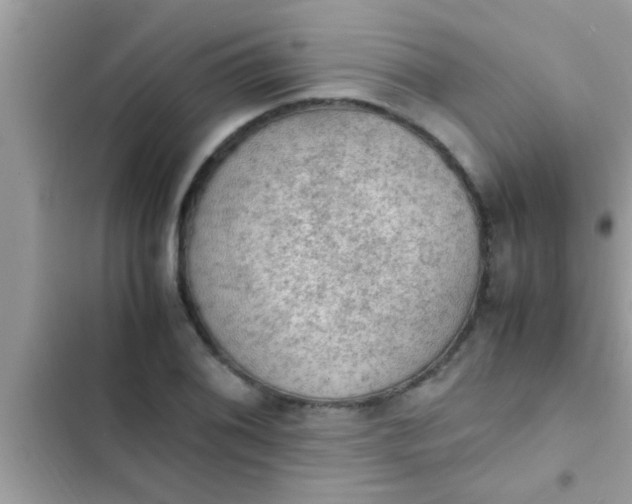 X0000102391076200808151915