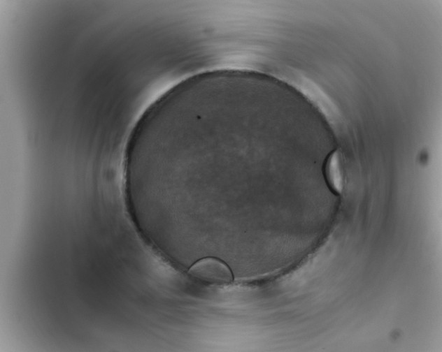 X0000102391077200808151915