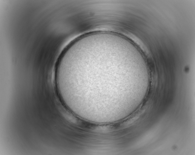 X0000102391078200808151915