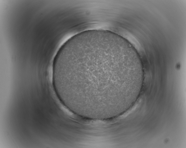 X0000102391079200808151915