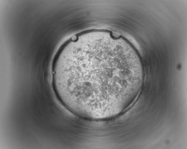 X0000102391080200808151915