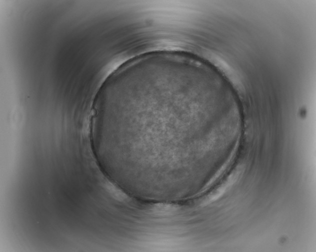 X0000102391081200808151915