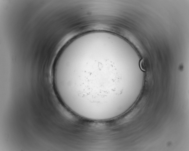 X0000102391082200808151915