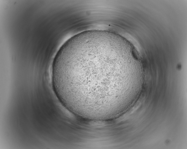 X0000102391083200808151915