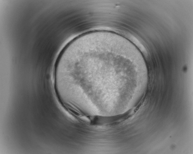 X0000102391084200808151915