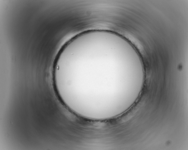 X0000102391085200808151915