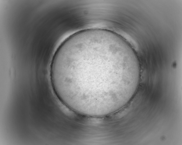 X0000102391086200808151915