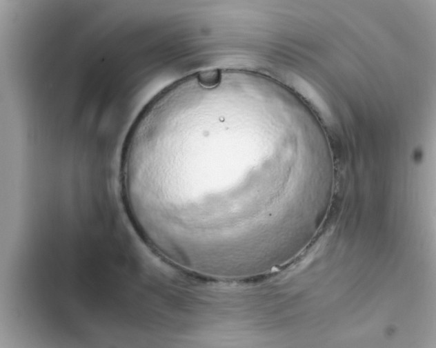 X0000102391087200808151915