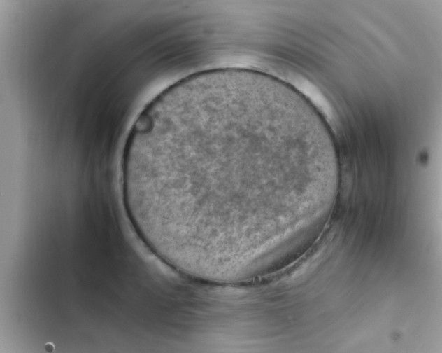 X0000102391088200808151915