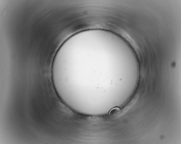 X0000102391089200808151915