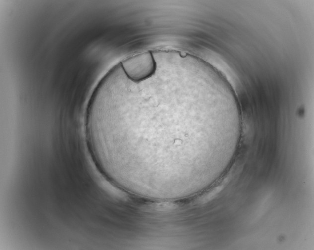 X0000102391090200808151915