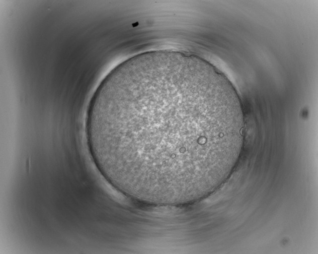 X0000102391091200808151915