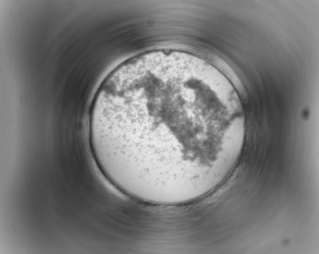 X0000102391092200808151915