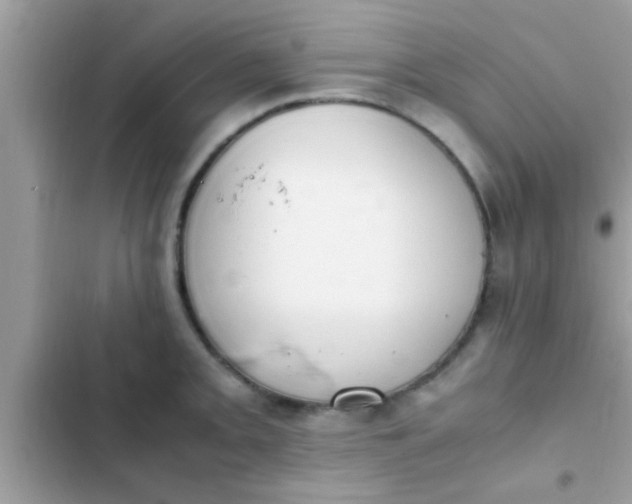 X0000102391093200808151915