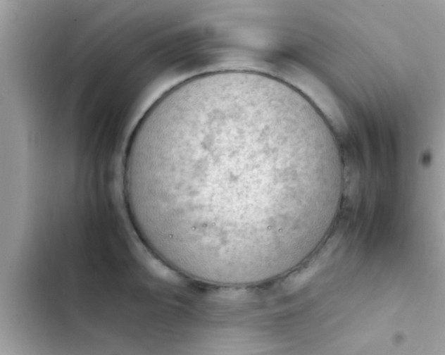 X0000102391094200808151915