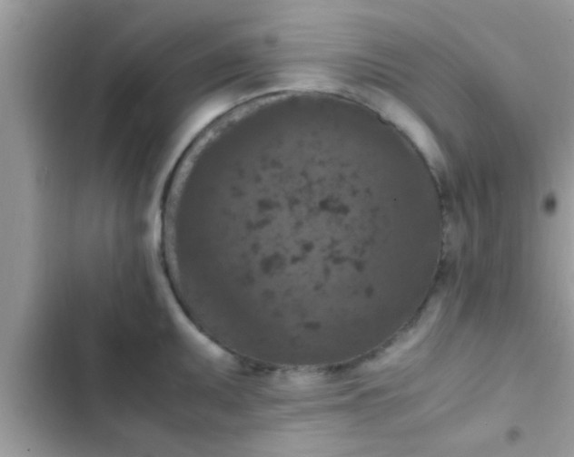 X0000102391095200808151915