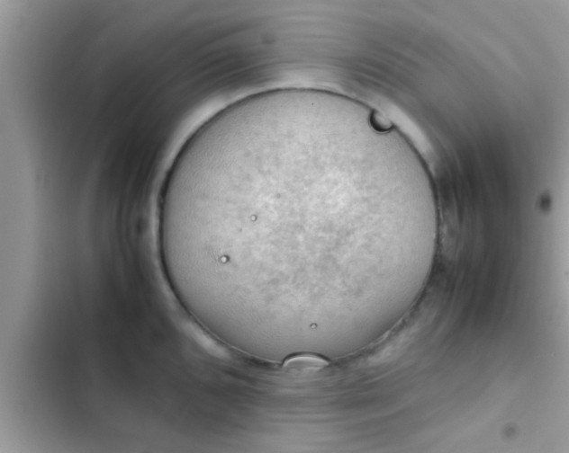 X0000102391096200808151915