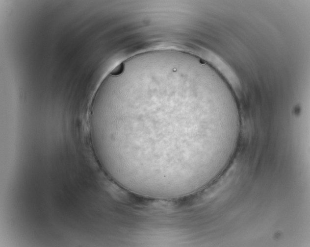 X0000102391097200808151915