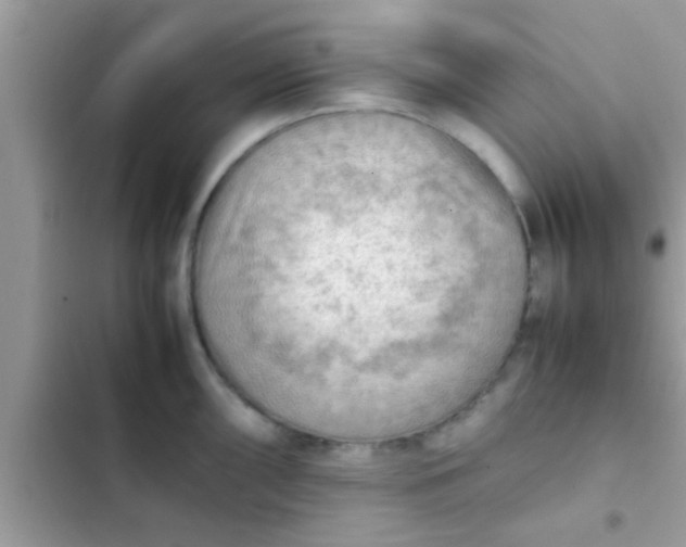 X0000102391098200808151915