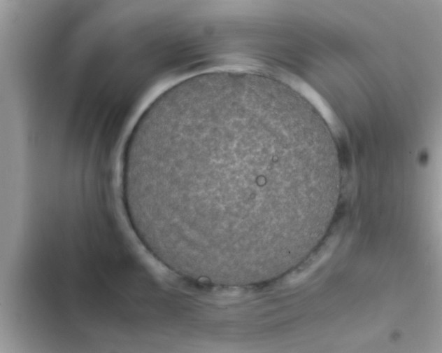 X0000102391099200808151915