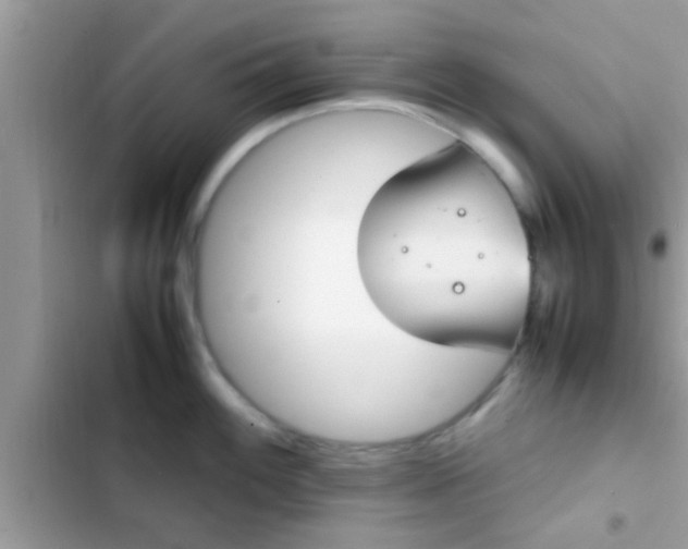 X0000102391100200808151915